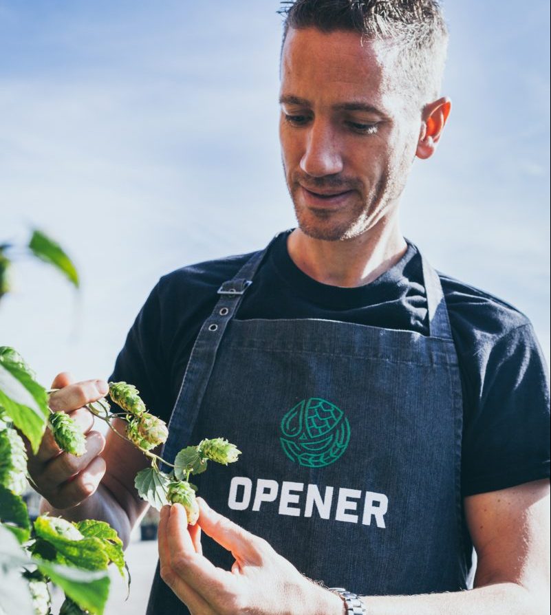 Opener Bier hop picking
